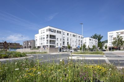 Panorama Quartier Friedrichsdorf Foto Panorama Quartier Friedrichsdorf